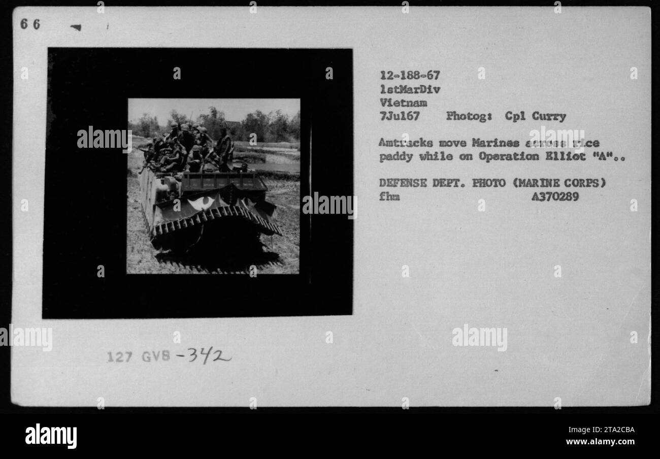 Marines mit Landungsfahrzeugen (LVTs/LVTPs) werden während der Operation Elliot 'A' in Vietnam über ein Reisfeld transportiert. Dieses Foto wurde am 7. Juli 1967 von CPL Curry aufgenommen und zeigt die militärischen Aktivitäten der USA während des Vietnamkriegs. Dieses Bild stammt aus dem Fotoarchiv des Verteidigungsministeriums (Marine Corps). Stockfoto