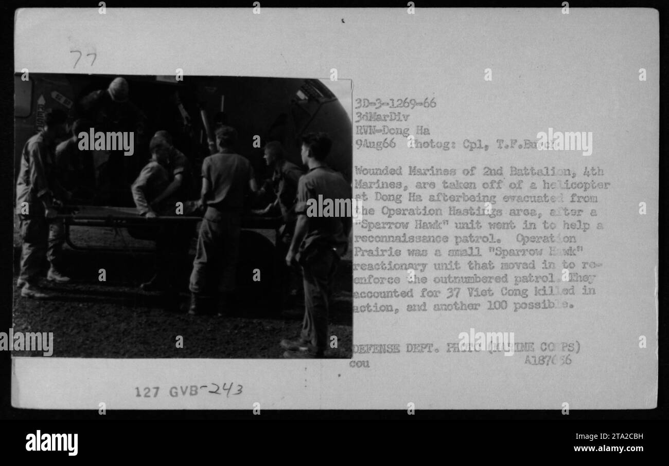 Am 9. August 1966 werden verwundete Marines des 2. Bataillons, 4. Marines, während der Operation Hastings mit einem Hubschrauber in Dong Ha evakuiert, unterstützt von der Einheit Sparrow Hawk der Operation Prairie. Stockfoto
