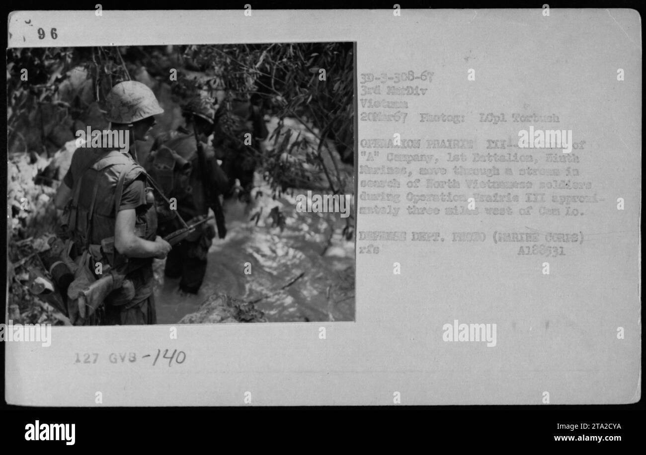 Soldaten der A-Kompanie, 1. Bataillon, 9. Marines, marschieren durch einen Dschungel auf der Suche nach nordvietnamesischen Soldaten während der Operation Prairie III am 20. März 1967, etwa drei Meilen westlich von Cồn Tiền. Dieses Bild wurde während des Kampfes in Vietnam von einem offiziellen Militärfotografen aufgenommen. Stockfoto
