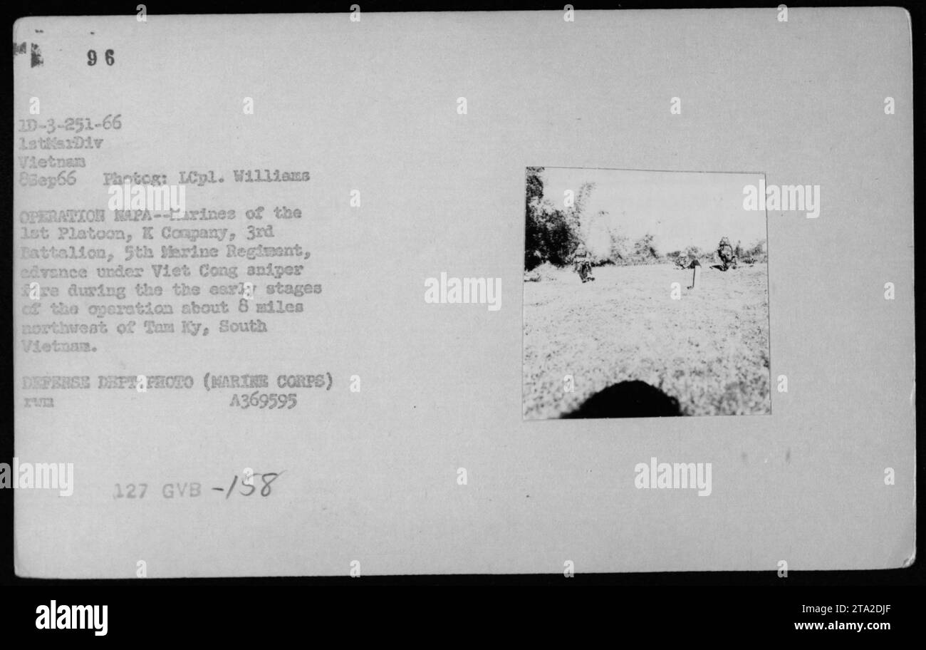 Am 8. September 1966 rückten Marines des 1. Platoon, K Kompanie, 3. Bataillons, 5. Marine-Regiment, unter vietnamesischem Scharfschützenfeuer während der Operation NAPA, 8 Meilen nordwestlich von Tam Ky, Südvietnam, vor. Foto von LCpl. Williams, Verteidigungsministerium, USMC. Stockfoto