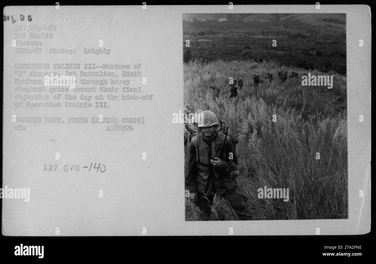 Marines des 1. Bataillons, 3. Marine-Division, marschieren am 19. März 1967 während der Operation Prairie III durch dichtes Elefantengras vor und erreichten das Ziel. Das Foto wurde von Leighty für das Verteidigungsministerium aufgenommen. Stockfoto