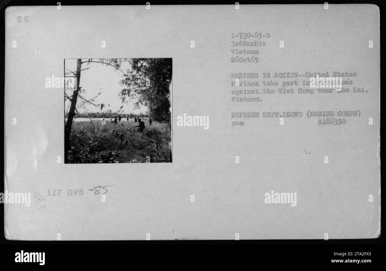 Dschungelumgebung im vietnamkrieg Fotos und Bildmaterial in hoher