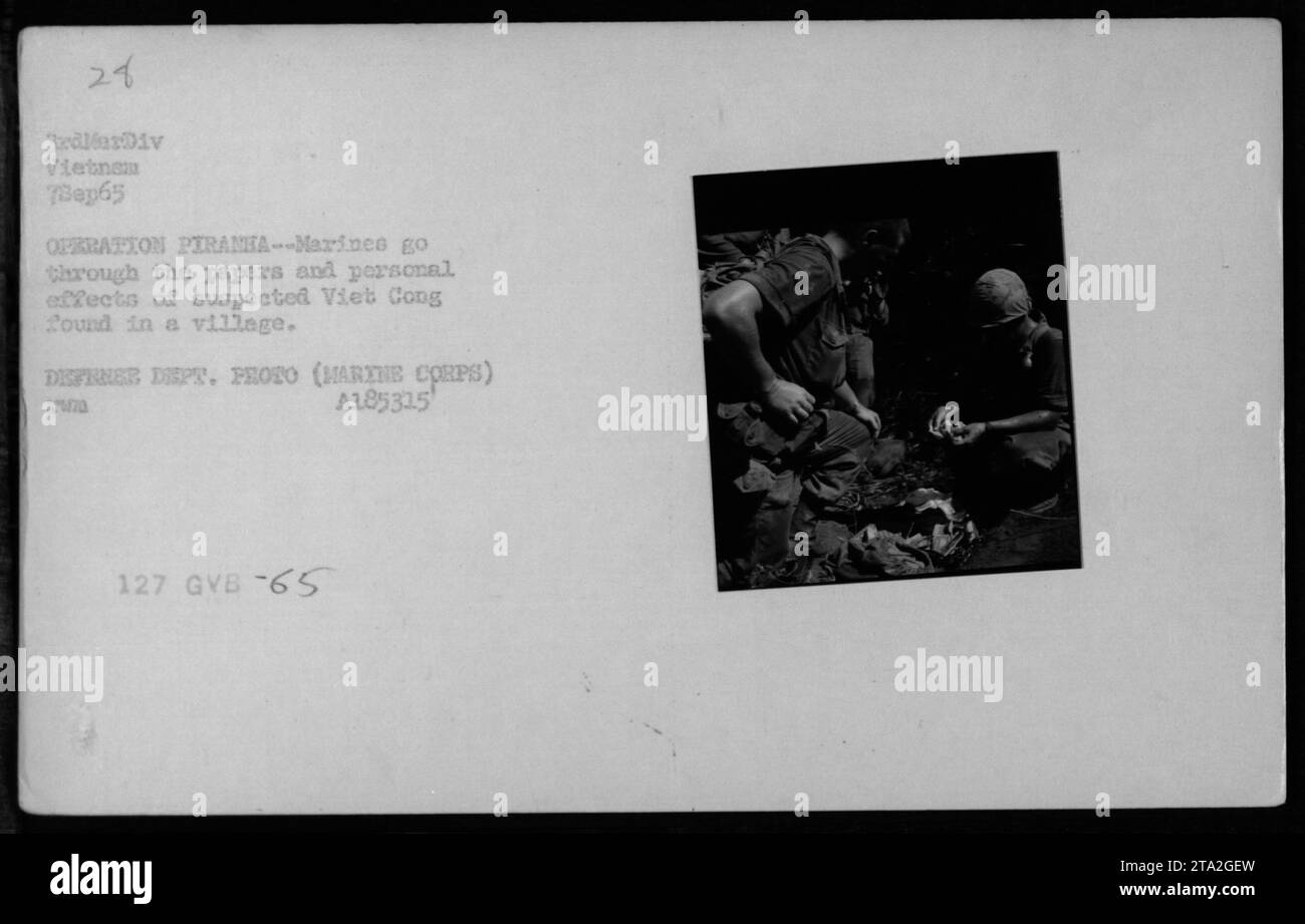 Soldaten der 3. Marine-Division in Vietnam werden bei der Suche nach persönlichen Gegenständen und Dokumenten verdächtiger Viet Cong gesehen, die während der Operation Piranha am 7. September 1965 in einem Dorf gefunden wurden. Sie untersuchen Fanggeräte wie Lebensmittel, Flaggen und andere Vorräte. Dieses Schwarzweiß-Foto wurde vom Verteidigungsministerium aufgenommen und trägt die Bezeichnung A185315 127 GVB-65. Stockfoto