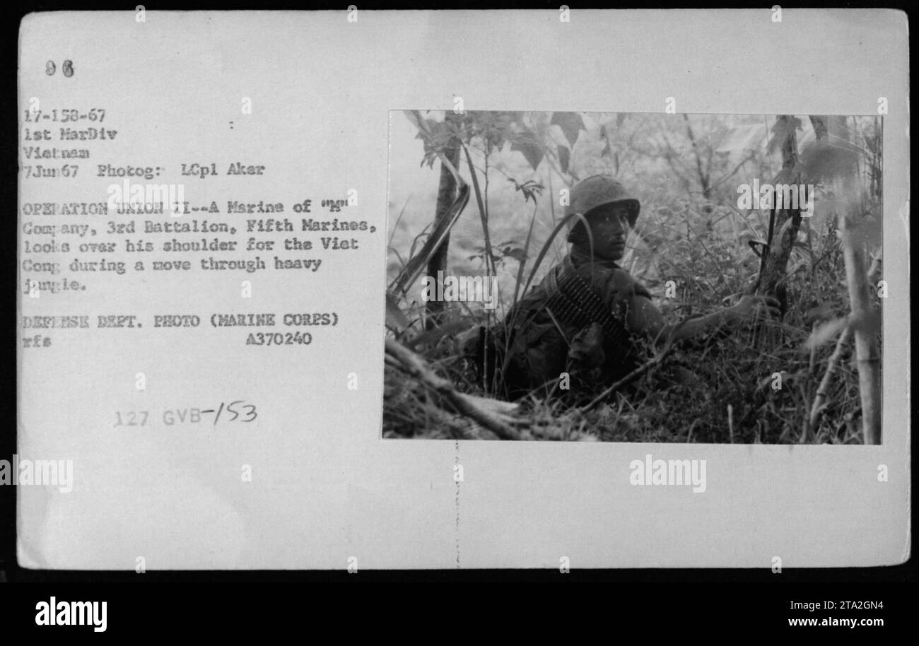 Ein Marine aus der Kompanie, 3. Bataillon, Fifth Marines, hält wachsam nach Vietnam Ausschau, während er sich während der Operation Union II am 7. Juni 1967 durch dichten Dschungel bewegt. Stockfoto