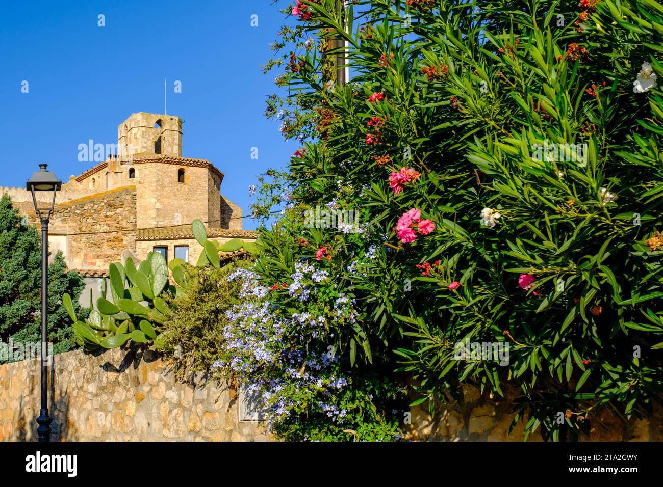 Kirche Sant Vicenc, mittelalterliche Stadt Regencós, Baix Empordà, Lower Empordà comarca, Provinz Girona, Katalonien, Spanien Stockfoto