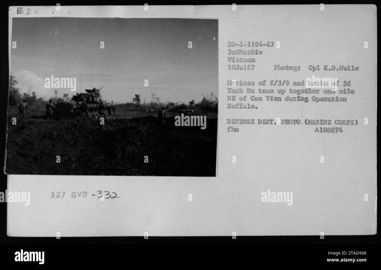 Marines der K/3/9 und Panzer der 3d Tank Bn arbeiten am 10. Juli 1967 bei der Operation Buffalo zusammen. Dieses Foto zeigt ihre gemeinsamen Bemühungen während des Vietnamkriegs. (Bild: Verteidigungsministerium, Marine Corps) Stockfoto