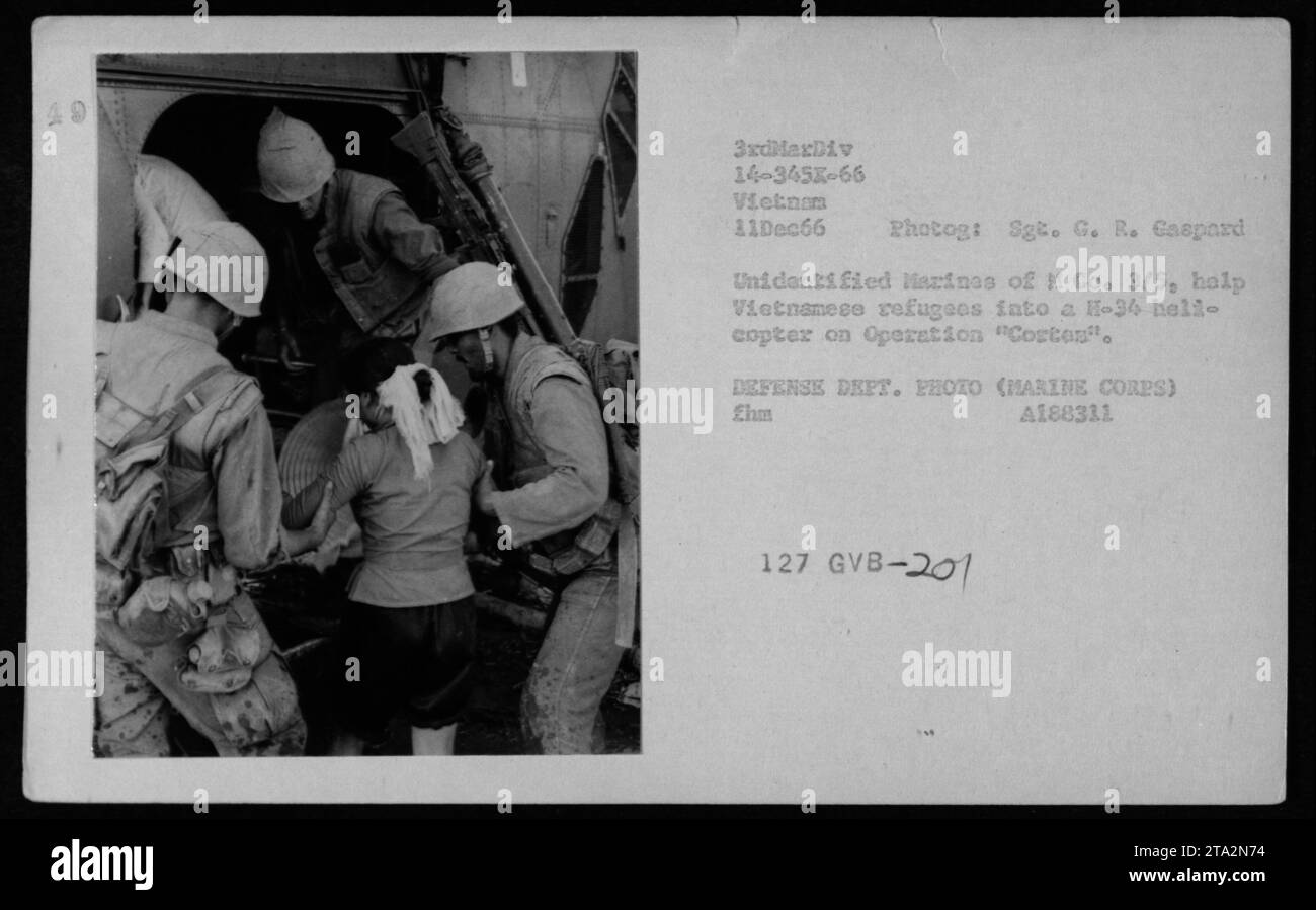 Marines von H Co. 3/5 unterstützen vietnamesische Flüchtlinge beim Einsteigen in einen H-34 Hubschrauber während der Operation Cortos am 11. Dezember 1966 in Vietnam. Das Foto von Sgt. G.R. Caspard dokumentiert die Evakuierung im Rahmen der humanitären Militäranstrengungen der USA. Stockfoto