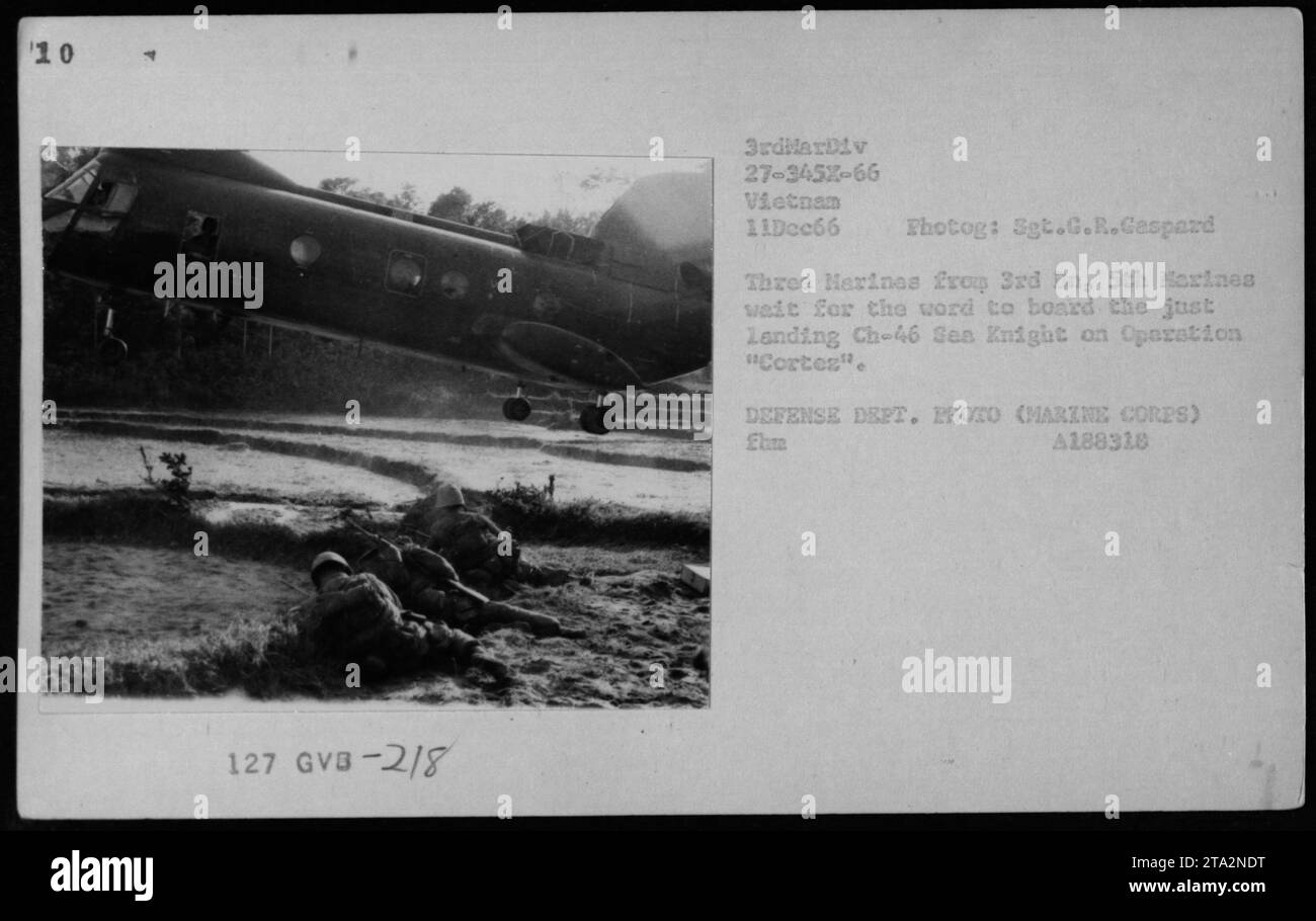 Am 11. Dezember 1966 warteten drei Marines des 3. Bataillons, 5. Marines, auf einen CH-46 Sea Knight Hubschrauber während der Operation Cortes in Vietnam. Das Foto, aufgenommen von Sgt. G.R. Gaspard, dokumentiert die Truppenbewegung und den Hubschraubereinsatz im Vietnamkrieg. Stockfoto