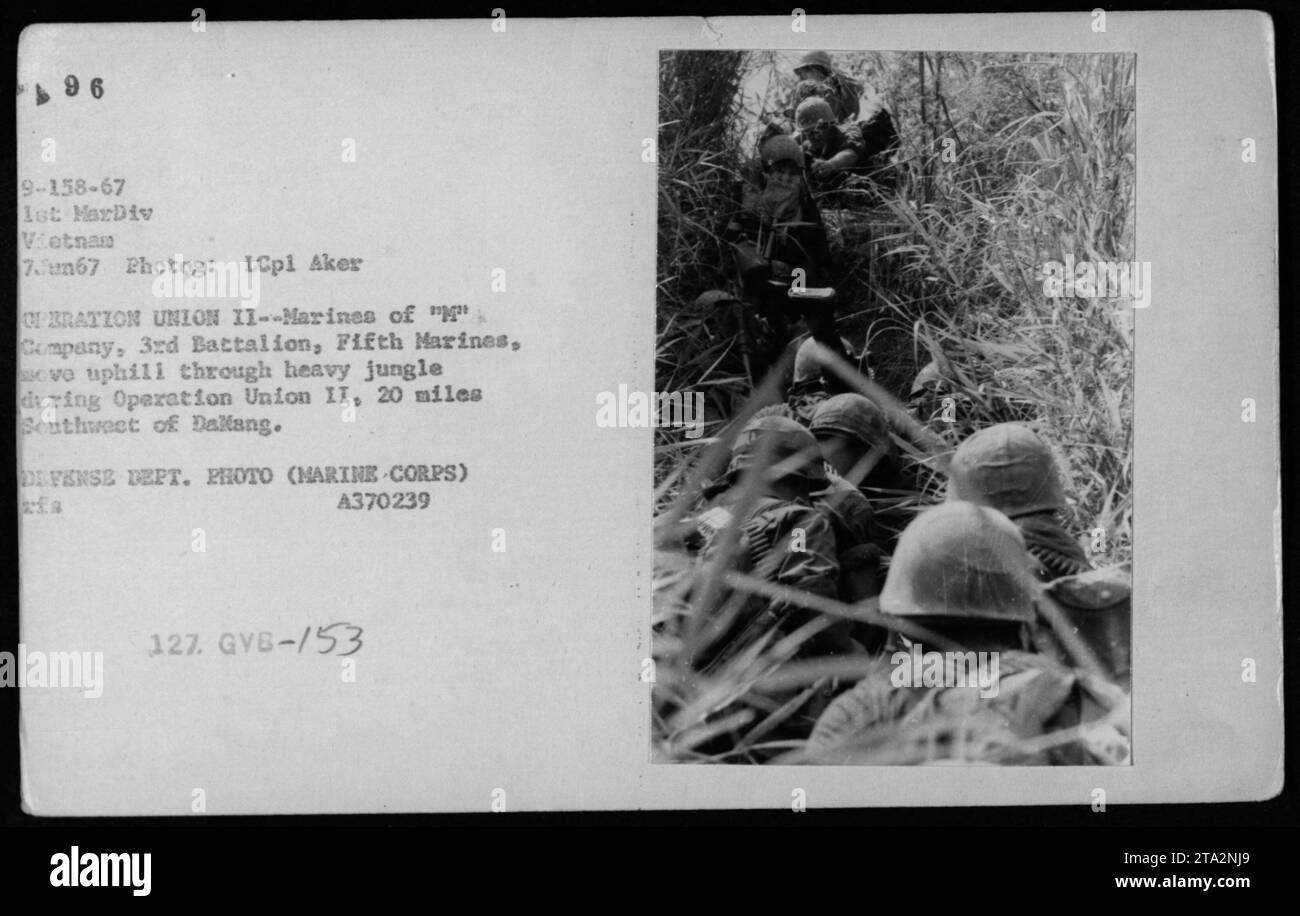 Marines von 'Kompanie, 3. Bataillon, 5. Marines, marschieren während der Operation Union II, 32 Meilen südwestlich von Dalang, Vietnam, am 7. Juni 1967 durch dichten Dschungel hinauf. Foto von LCpl Aker. Foto des Verteidigungsministeriums (Marine Corps), A370239. Stockfoto