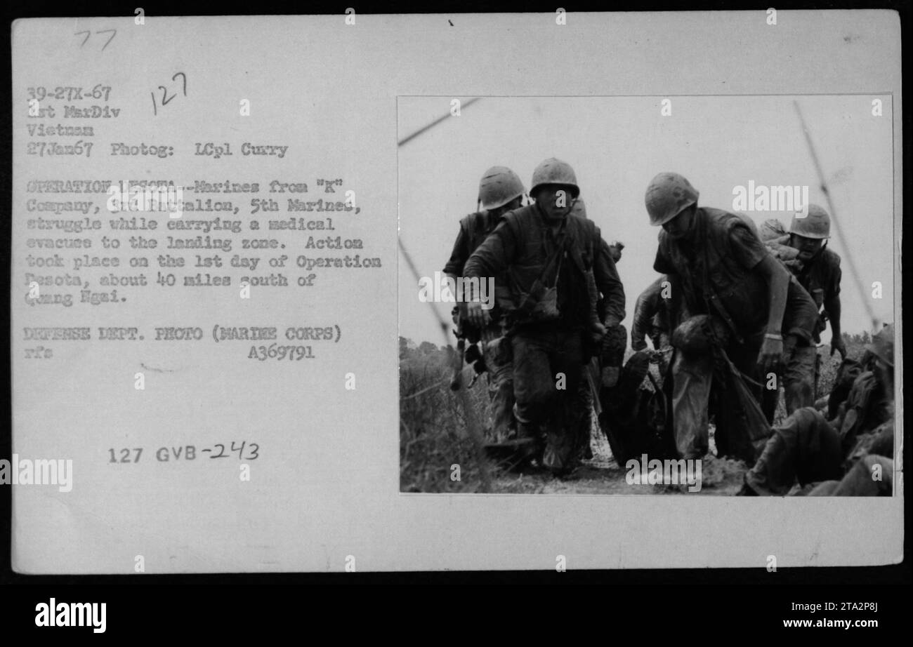 Marines von der 'X' Kompanie, 3. Bataillon, 5. Marines, werden gesehen, wie sie während der Operation Desota um einen medizinischen Evakuierten in die Landezone kämpfen. Das Foto wurde am 27. Januar 1967 aufgenommen, etwa 40 km südlich von Quang Ngai. Dieses Bild zeigt die Herausforderungen bei medizinischen Evakuierungen in Vietnam. Stockfoto