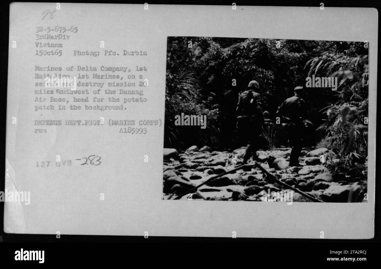Marines der Delta Company, 1. Bataillon, 3. Marine-Division, werden während des Vietnamkriegs auf einer Such- und Zerstörungsmission 20 Meilen südwestlich der Danang Air Base gesehen. Sie fahren auf einen Kartoffelstreifen im Hintergrund. Datum: 15. Oktober 1965. (Foto von PFE. Durbin, mit freundlicher Genehmigung des Verteidigungsministeriums) Stockfoto