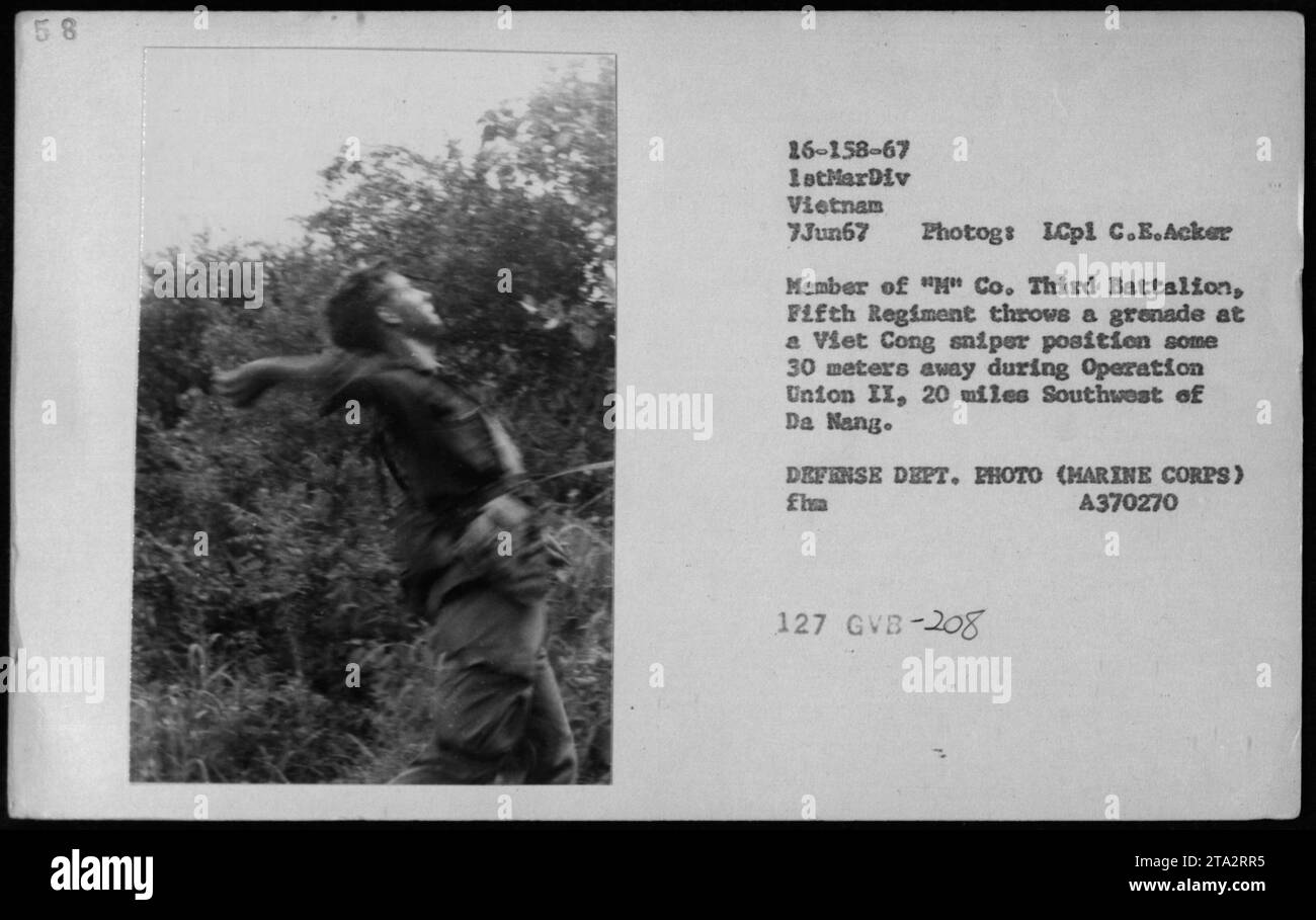 Marine Corporal von M Co. Drittes Bataillon, Fünftes Regiment kämpft im Kampf, indem es eine Granate auf einen vietnamesischen Scharfschützen wirft, der etwa 30 Meter entfernt während der Operation Union II war Das Foto wurde am 7. Juni 1967, 20 Meilen südwestlich von da Nang, Vietnam, von ICpl C.E. Acker aufgenommen. Stockfoto
