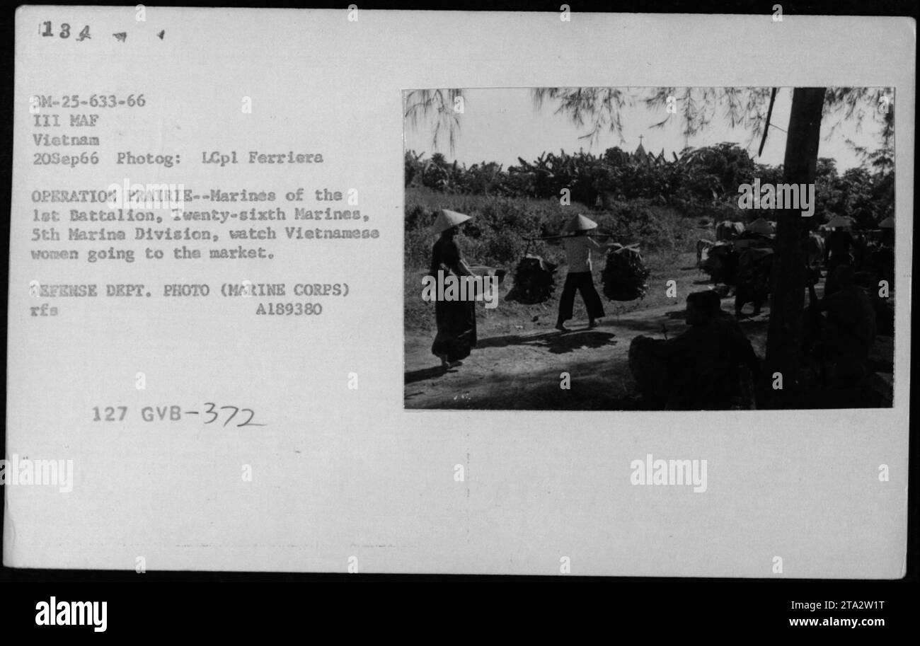 Marines des 1 bataillons 26 marines 5 marine division in operation