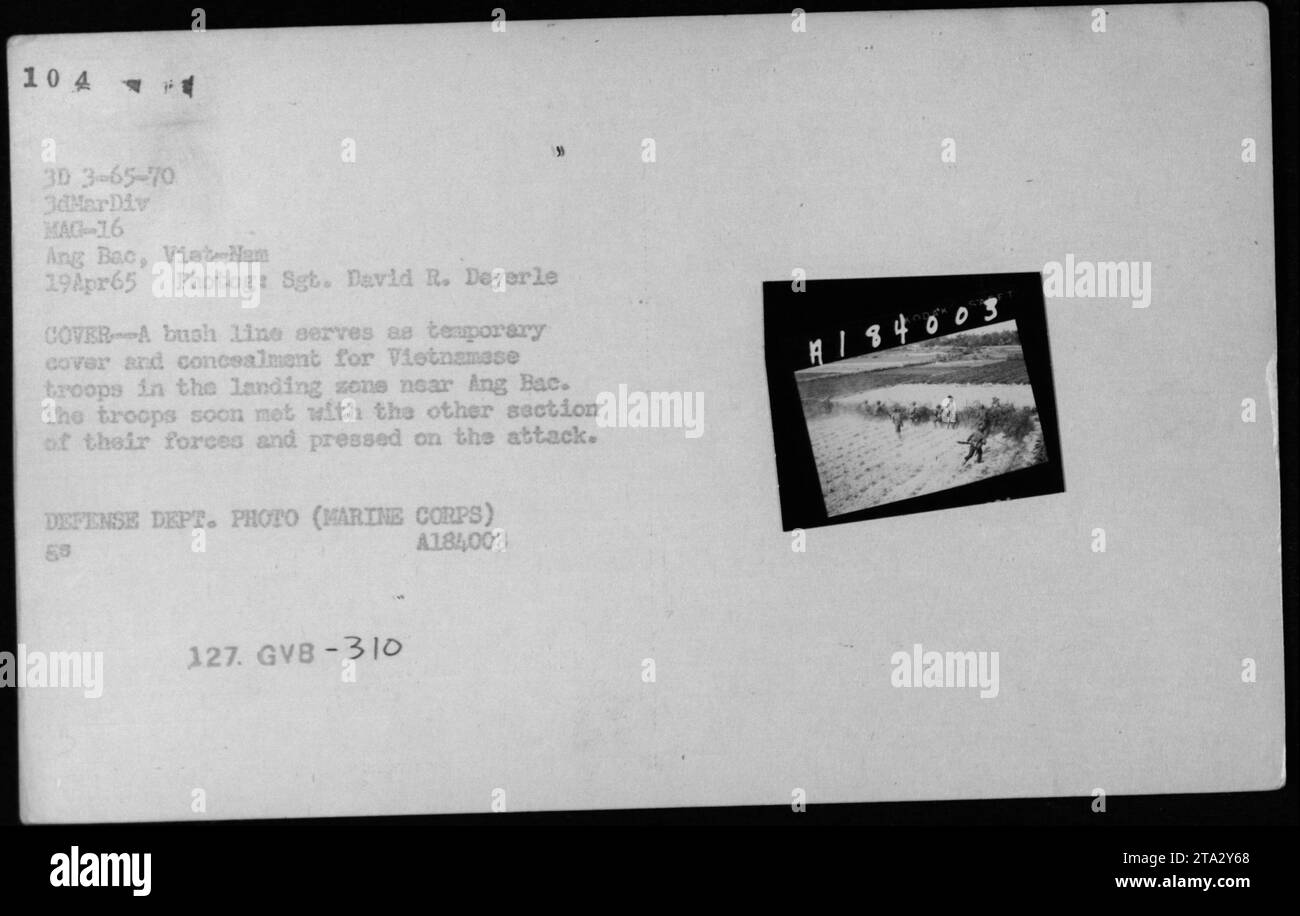Vietnamesische Truppen decken sich am 19. April 1965 hinter Büschen in Landezonen in der Nähe von Ang Bac, Vietnam, und gruppieren sich neu, bevor sie ihren Angriff während der militärischen Operationen im Vietnamkrieg fortsetzen. Stockfoto