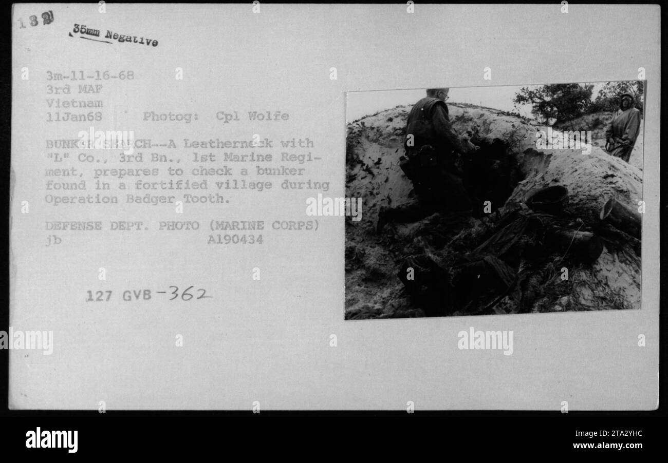 Ein US-Marine der 'L' Company, 3. Bataillon, 1. Marine-Regiment, führt eine Bunkersuche in einem befestigten Dorf während der Operation Badger Tooth durch. Das Foto, aufgenommen am 11. Januar 1968, veranschaulicht die Bemühungen des US-Militärs, die Vietnam-Cong während des Vietnamkriegs zu bekämpfen. Stockfoto