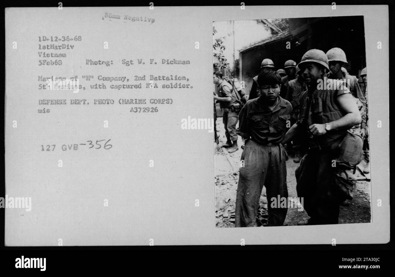 Marines aus 'Kompanie, 2. Bataillon, 5. Marines, mit einem gefangenen Soldaten der Nordvietnamesischen Armee (NVA) während einer Militäroperation in Vietnam. Datum: 5. Februar 1968. Fotograf: Sgt W. F. Dickman. Dieses Bild ist Teil der Sammlung des US-Verteidigungsministeriums (Marine Corps). Katalognummer: A372926 127 GVB-356." Stockfoto