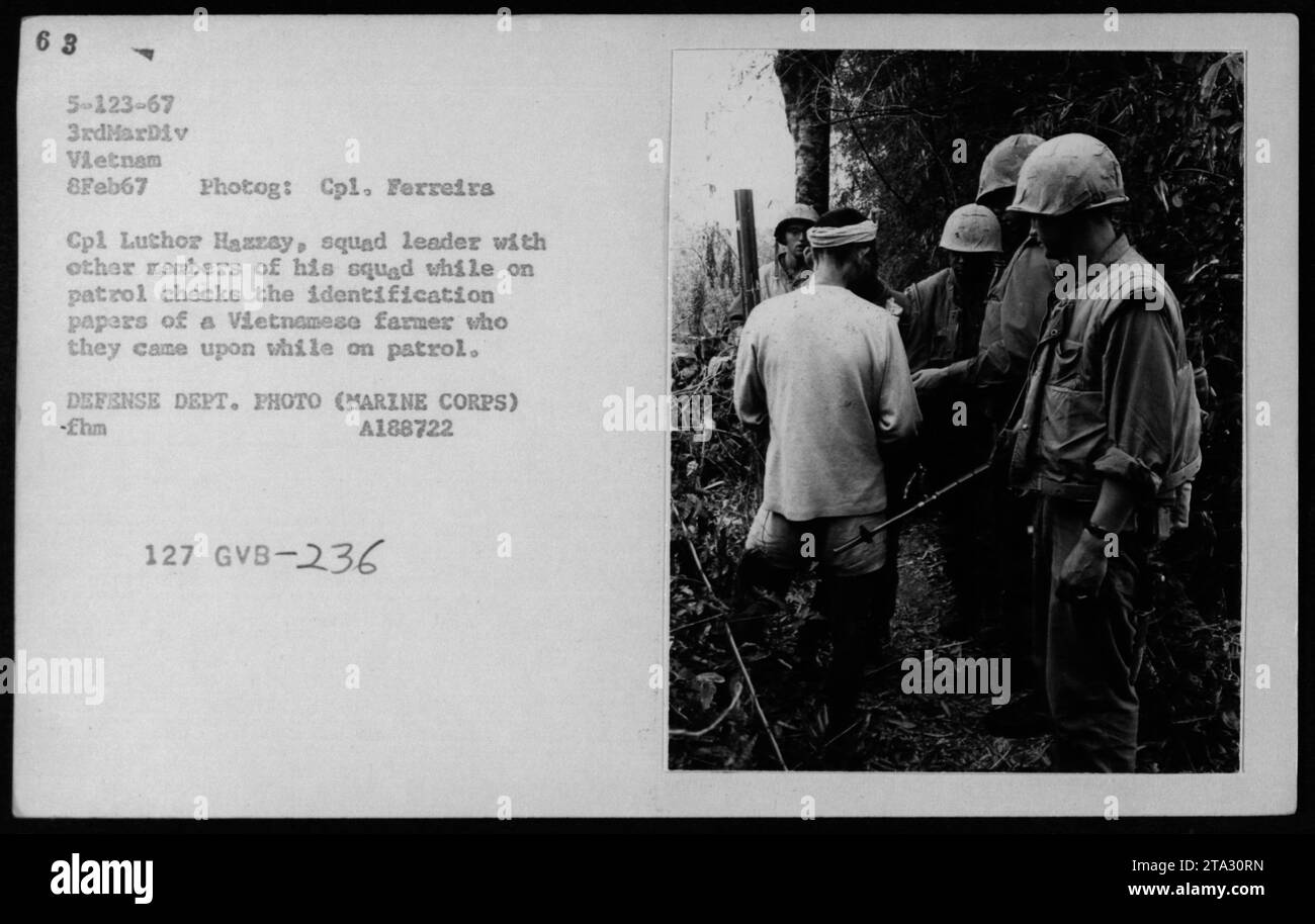 Bildunterschrift: Am 8. Februar 1967, während des Vietnamkrieges, wird CPL Luthor Hazzay, ein Truppenführer der 3. MarDiv, gesehen, wie seine Truppenmitglieder die Ausweise eines vietnamesischen Bauern überprüfen, den sie während der Patrouille begegneten. Dieses Bild zeigt die wichtige Rolle von Dolmetschern/Verhörern bei militärischen Aktivitäten. (Fotograf: CPL Ferreira, Verteidigungsministerium Foto) Stockfoto