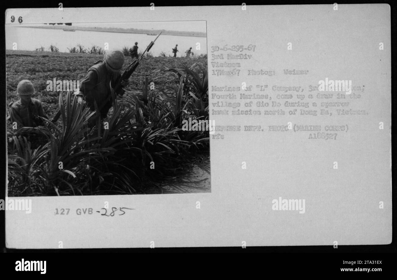 Marines von der 'L' Company, 3. Bataillon, Vierte Marines, die eine Patrouille im Dorf Glo Do während einer Sperbermission nördlich von Dong EA, Vietnam, am 17. März 1967 durchführten. Foto von Weiner. (Offizieller Lichtbildausweis: GVB-285) Stockfoto