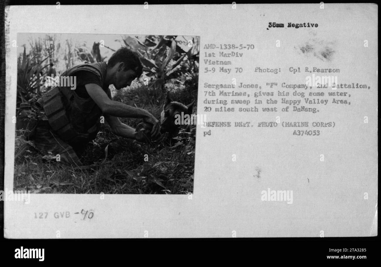 Sergeant Jones von der F-Kompanie, 2. Bataillon, 7. Marines, gibt seinem Hund Wasser während einer Fahrt im Happy Valley, 20 Meilen südwestlich von Dalang. Das Foto wurde am 5. Mai 1970 während des Militärdienstes 127 von CPL R. Pearson aufgenommen. Dieses Bild ist Teil der Sammlung, die die amerikanischen Militäraktivitäten während des Vietnamkriegs dokumentiert. Stockfoto