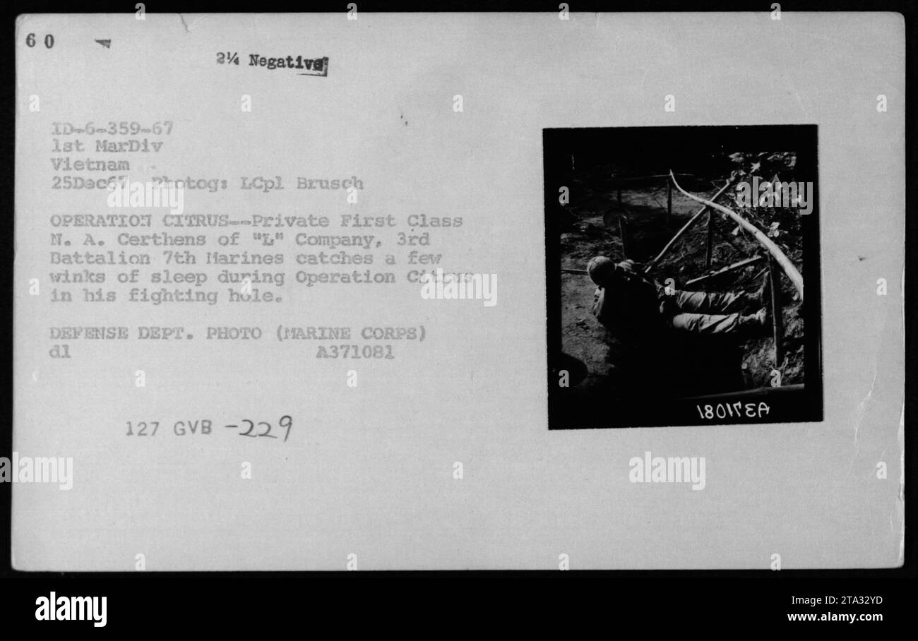 Private First Class N. A. Certhens von 'L' Company, 3. Bataillon 7. Marines, die in seinem Kampfloch ruhen, während der Operation Citrus, einer militärischen Operation in Vietnam, die von der 1. Marine Division am 25. Dezember 1967 durchgeführt wurde. Das Foto zeigt einen Moment der Ruhe inmitten der schwierigen Kriegsbedingungen. (Bild: Verteidigungsministerium) Stockfoto