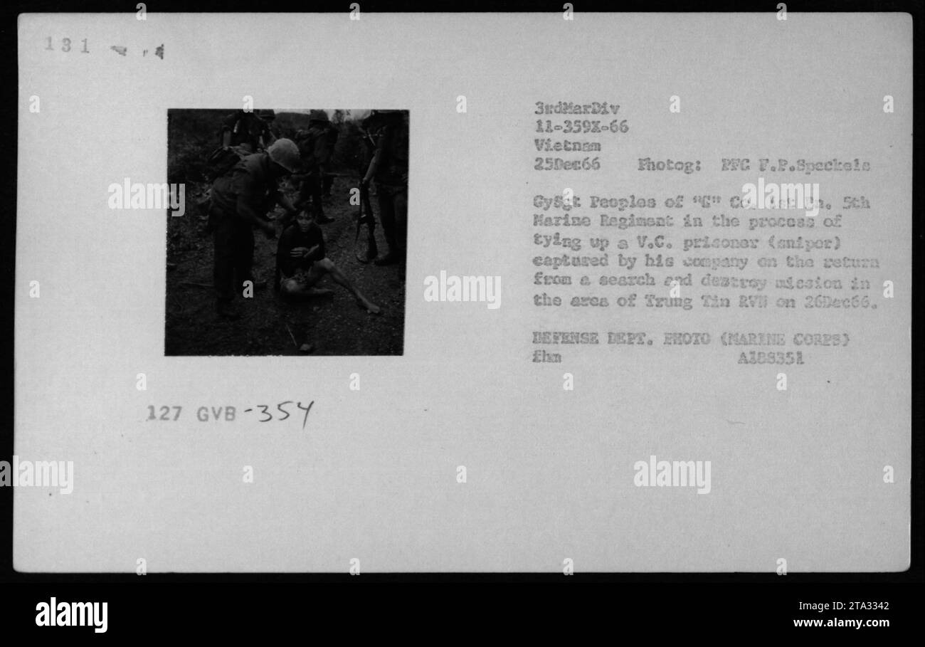 Soldaten von G Co. Der 1. BN. Das 5. Marine-Regiment, die 3. Marine-Division in Vietnam, wurde am 25. Dezember 1966 gezeigt, wie sie einen Gefangenen aus Vietnam (VC) gefesselt hat. Das Foto, aufgenommen von PFC F.P. Speckale und GySgt Peoples, zeigt die Folgen einer Such- und Zerstörungsmission im Trung Tin Wohnmobilgebiet. Stockfoto