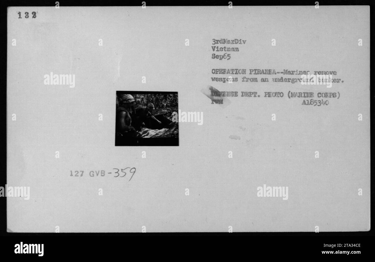 Während der Operation PIRANEA im September 1965 entfernen US-Marine-Soldaten Waffen aus einem unterirdischen Bunker und greifen auf Tunnel und Höhlen von Vietnam zu, um ihre Aktivitäten während des Vietnamkriegs zu stören. Stockfoto