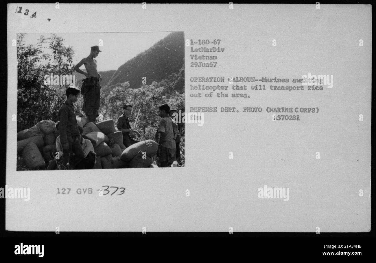 Marines in Vietnam warten auf einen Hubschrauber, der Reis aus der Gegend transportiert, während der Operation Calhoun, 29. Juni 1967. Dieses Foto des Verteidigungsministeriums zeigt die amerikanische militärische Beteiligung an der Unterstützung des vietnamesischen zivilen Lebens während des Vietnamkriegs." Stockfoto