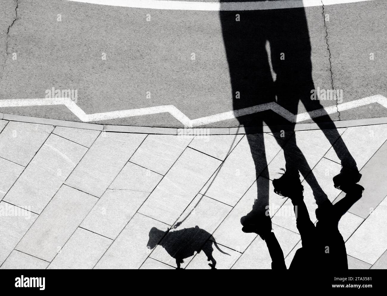 Verschwommene Schattensilhouette von zwei Personen, die einen kleinen Hund an der Leine auf einem Bürgersteig auf dem Fahrradweg laufen Stockfoto
