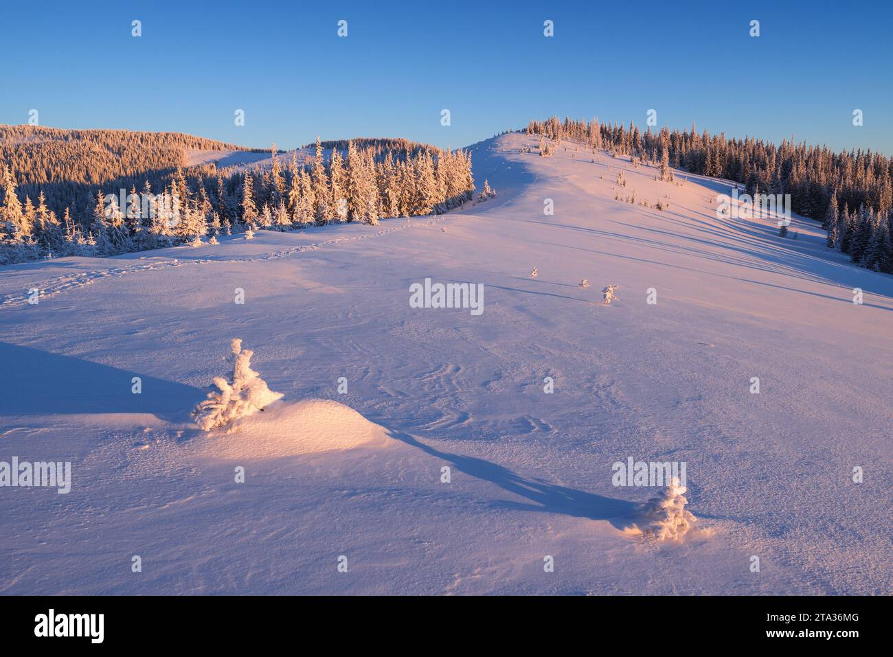Winterlandschaft mit den ersten Morgenstrahlen in den Snowy Mountains nach einem Schneefall Stockfoto