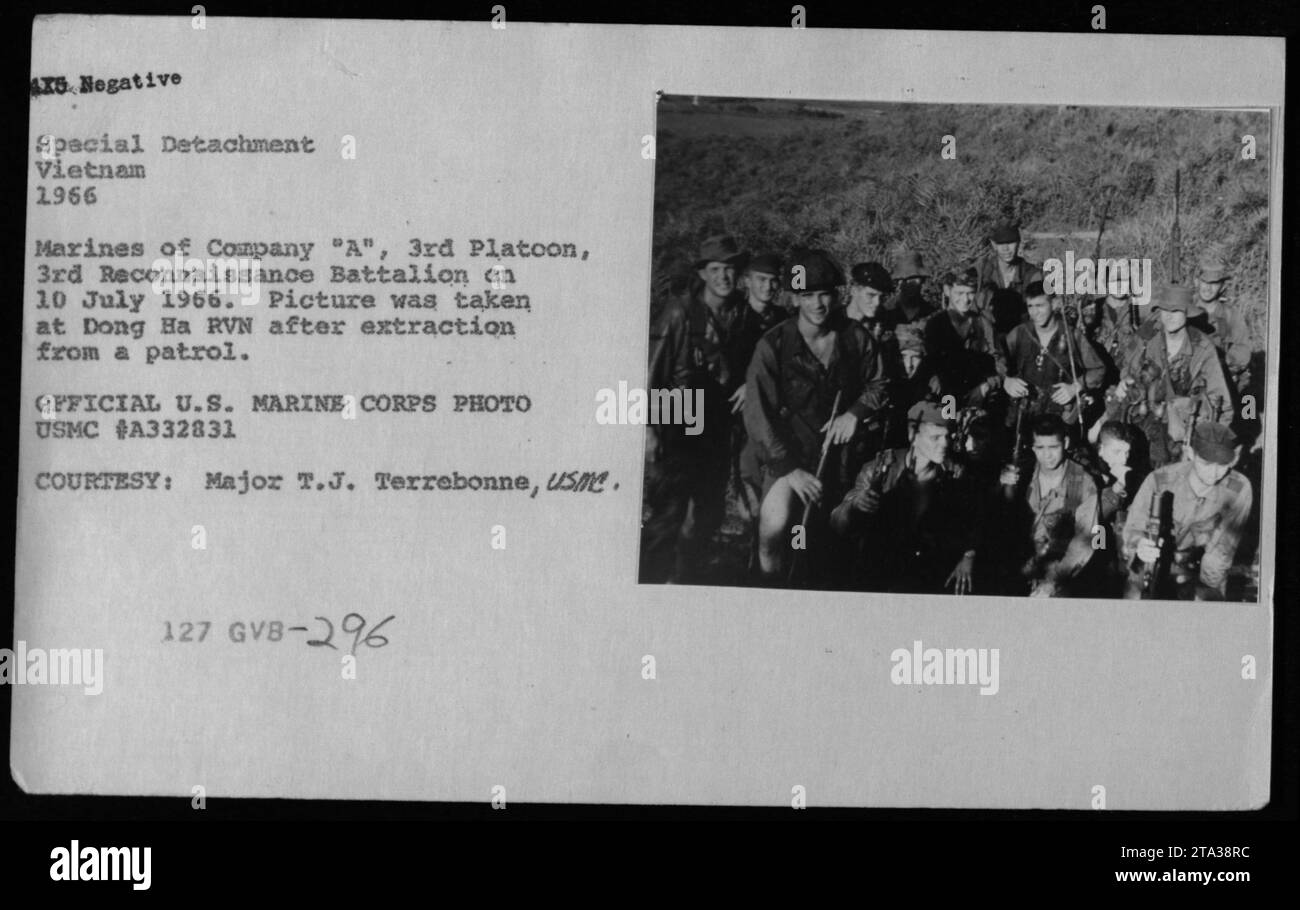 Marines der Kompanie A, 3. Zug, 3. Aufklärungsbataillon, nach der Entnahme aus der Patrouille in Dong Ha, Vietnam, am 10. Juli 1966. Stockfoto