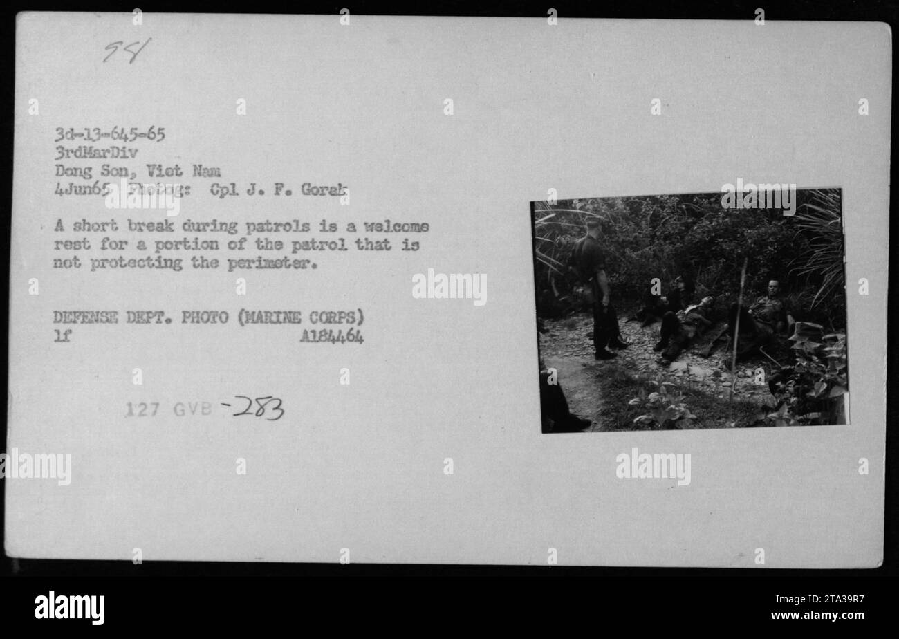 Soldaten machen eine Pause während Patrouillen in Dong Son, Vietnam am 4. Juni 1965. Dieses Foto, aufgenommen von CPL J.F. Gorak, zeigt einen Teil der Patrouille, während andere den Umkreis schützen. Die Pause bot den Soldaten eine dringend benötigte Pause. (Bildunterschrift: Foto des Verteidigungsministeriums, Archiv des Marine Corps) Stockfoto