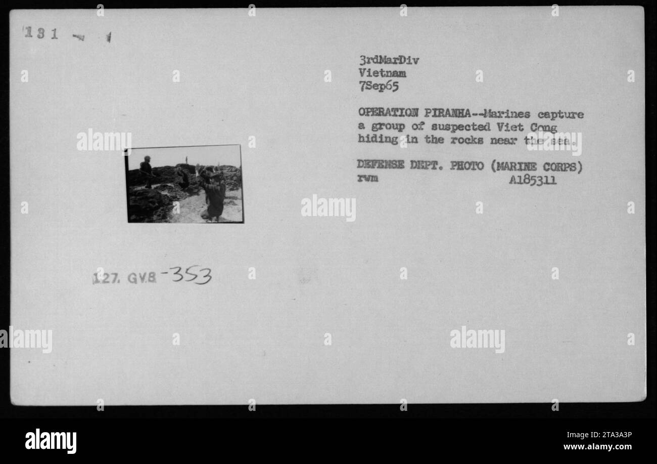 Eine Gruppe mutmaßlicher Viet Cong-Aufständischer wird während der Operation Piranha am 7. September 1965 von den US-Marines gefangen genommen. Die Marines nahmen die Verdächtigen fest, die sich zwischen den Felsen am Meer versteckten. Dieses Foto wurde vom Verteidigungsministerium (Marine Corps) aufgenommen und trägt die Bezeichnung A185311 TVM. Stockfoto