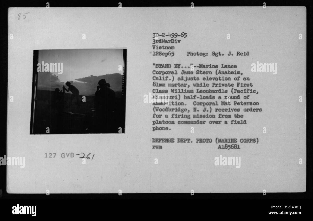 Am 12. September 1965 stellte Marine Lance Corporal Jamie Stern die Höhe eines 81 mm Mörtels ein, während William Leonhard als Privatmann halbbeladene Munition erhielt. Corporal Mat Peterson erhielt einen Auftrag über das Feldtelefon. Foto von Sgt. J. Reid, 3. Marine Division, Vietnam. Stockfoto