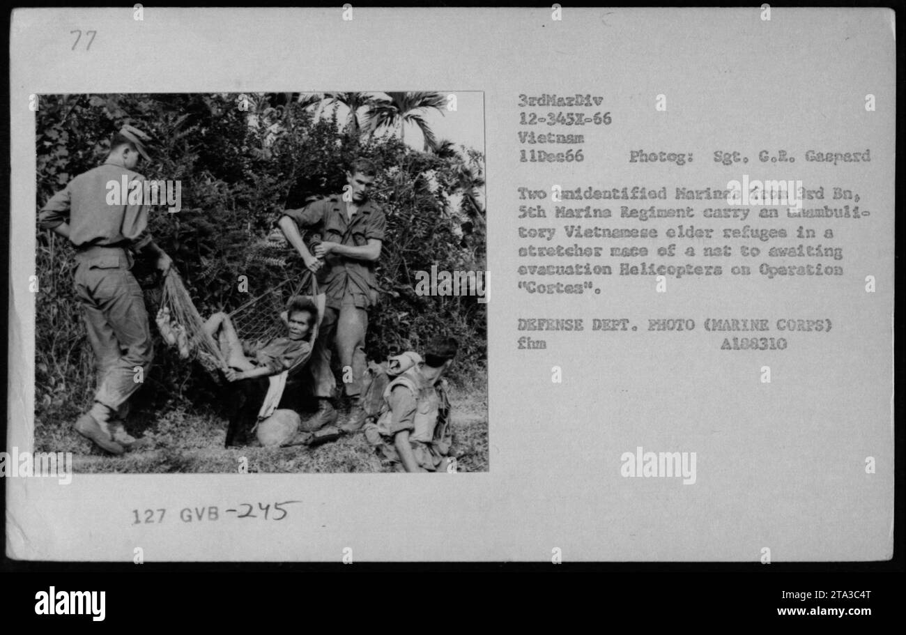 Zwei nicht identifizierte Marines aus dem 3. BN, 5. Marine-Regiment werden am 11. Dezember 1966 während eines Medical Civic Action Program (MEDCAP) mit einem vietnamesischen Ältesten auf einer Liege gesehen. Das Foto nimmt den Moment auf, bevor der ältere zur Evakuierung mit Hubschraubern im Rahmen der Operation 'Cortes' in Vietnam geflogen wird. Fotorechte: Sgt. G.R. Gaspard, Verteidigungsministerium. Stockfoto