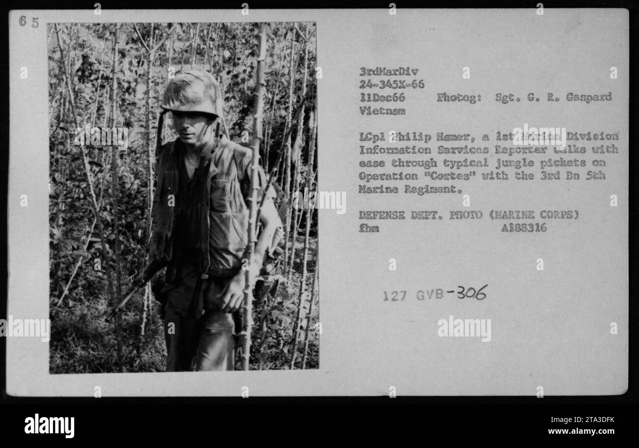 LCpl Philip Hamer, ein Marine Division Information Services Reporter, navigiert durch dichte Dschungelpfosten bei Operation Cortes neben dem 3. Bataillon Sch Marine Regiment. Dieses Foto wurde von Sgt. G. R. Gaspard am 11. Dezember 1966 während des Vietnamkriegs aufgenommen. Bildunterschrift: Sgt. LCpl Philip Hamer über Operation "Cortes" in Vietnam. Stockfoto