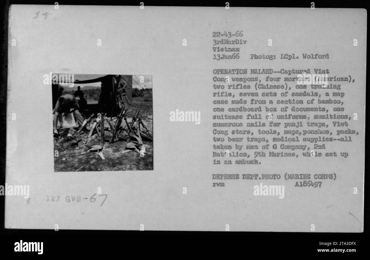 Gewehre des 2 bataillons Fotos und Bildmaterial in hoher Auflösung