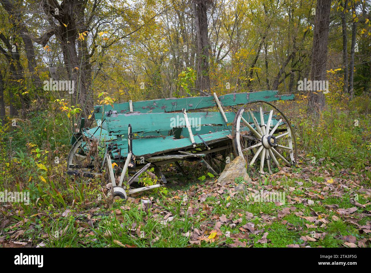Gebrochene türkisfarbene Holzwagen im Herbstwald im Parke County in Roseville, Indiana Stockfoto