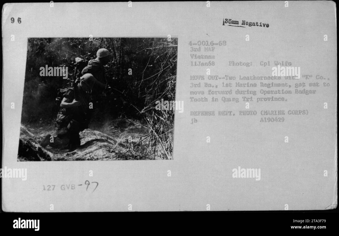 Marines der K-Kompanie, 3. Bataillon, 1. Marine-Regiment, bereiten sich auf den Vormarsch während der Operation Badger Tooth am 11. Januar 1968 in der Provinz Quang Tri vor. Das Foto, aufgenommen von CPL Wolfs und beschriftet mit GVB-97, ist Teil einer Serie, die die militärischen Aktivitäten der USA während des Vietnamkriegs dokumentiert. Stockfoto