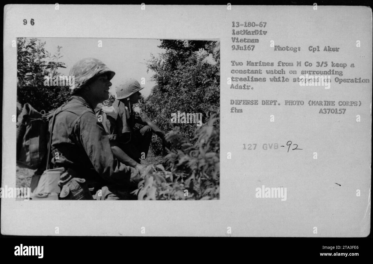 Zwei Marines von M Co 3/5 überwachen die Baumlinien während der Operation Adair. Das Foto, aufgenommen am 9. Juli 1967, zeigt ihre ständige Bereitschaft und Wachsamkeit. Dieses Bild gehört zur Sammlung amerikanischer Militäraktivitäten während des Vietnamkriegs. VERTEIDIGUNGSABTEILUNG. FOTO (MARINE CORPS), aufgenommen von CPL Aker. Bildunterschrift: GVB-92, fhra A370157. Stockfoto
