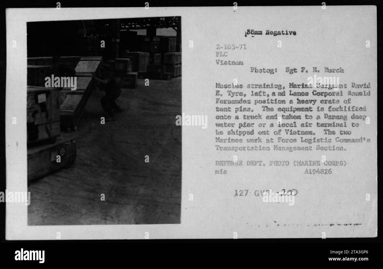 Marines Sgt. David E. Tyre und Lance CPL Ronald Fernandez bewegen vorsichtig eine Kiste Zeltnadeln in der Transportmanagementabteilung des Force Logistic Command. Die Kiste mit verschiedenen Ausrüstungen ist für den Transport zu einem Tiefwasserhafen in Danang oder zu einem lokalen Flugterminal bestimmt, um sie von Vietnam aus zu verschicken. Stockfoto