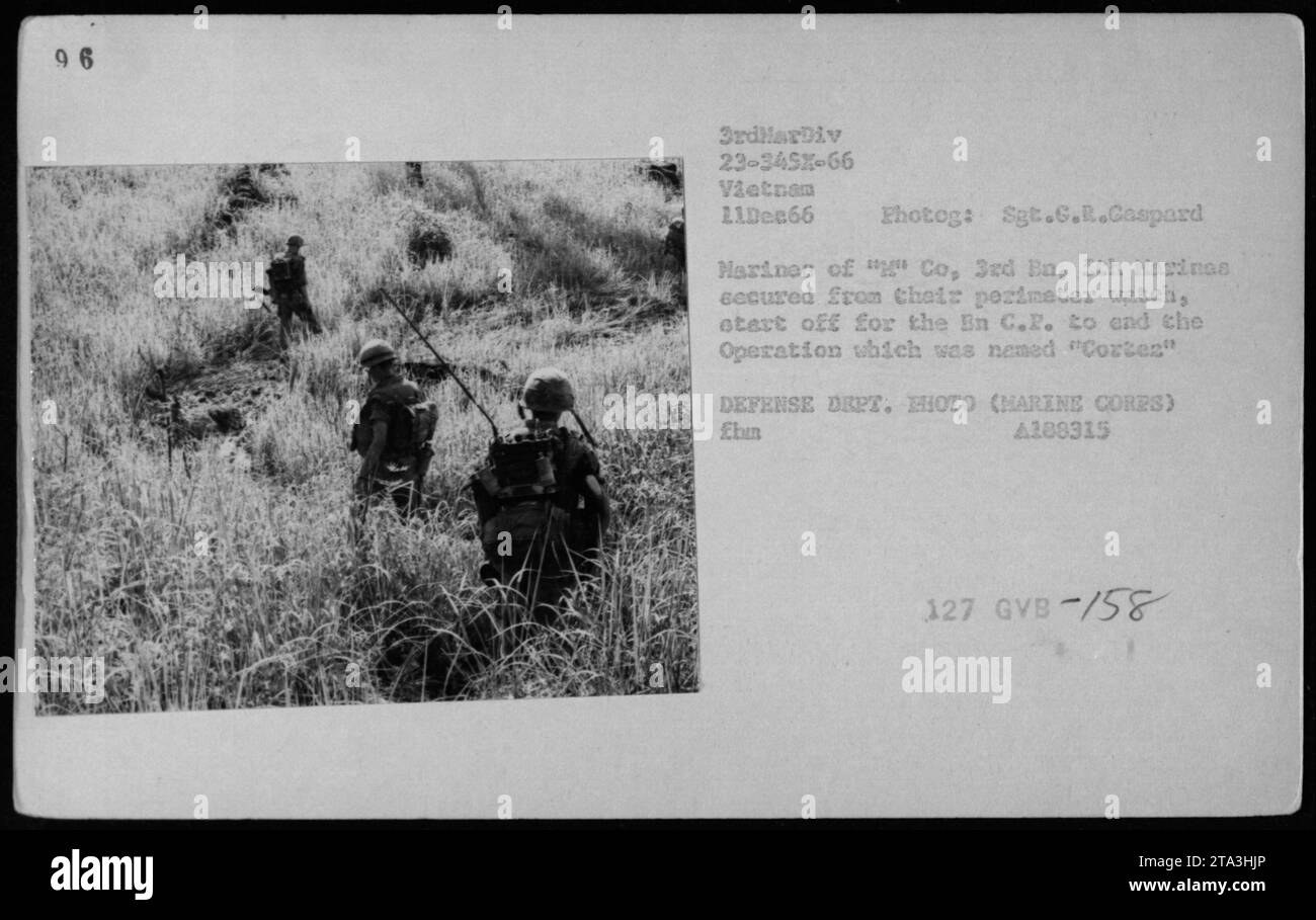 Marine Corps Soldaten von 'Co, 3rd Ba, 5th Harinas' kehren nach Abschluss der Operation 'Corten' am 11. Dezember 1966 zum Battalion Command Post (BN C.P) zurück. Das Foto wurde von Sgt. G.R. Caspard aufgenommen und zeigt die Soldaten, die ihre Perimeterwache verlassen. Stockfoto