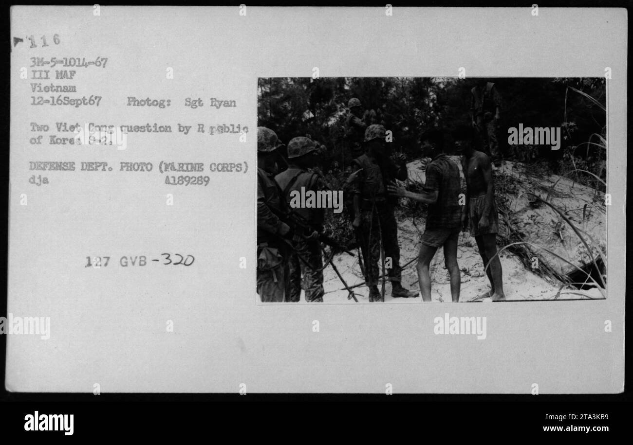 ROK Marines befragen zwei mutmaßliche Viet Cong-Mitglieder während der Militäroperationen in Vietnam am 12. September 1967, um die operativen Verfahren und das Engagement während des Konflikts zu veranschaulichen. Stockfoto