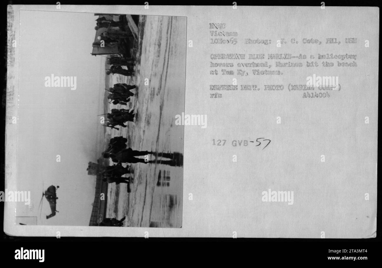 Die US-Marines in Tam Ky, Vietnam, reagieren im November 1965 auf die Folgen einer Hubschrauberlandung während der Operation BLUE KARL. Stockfoto