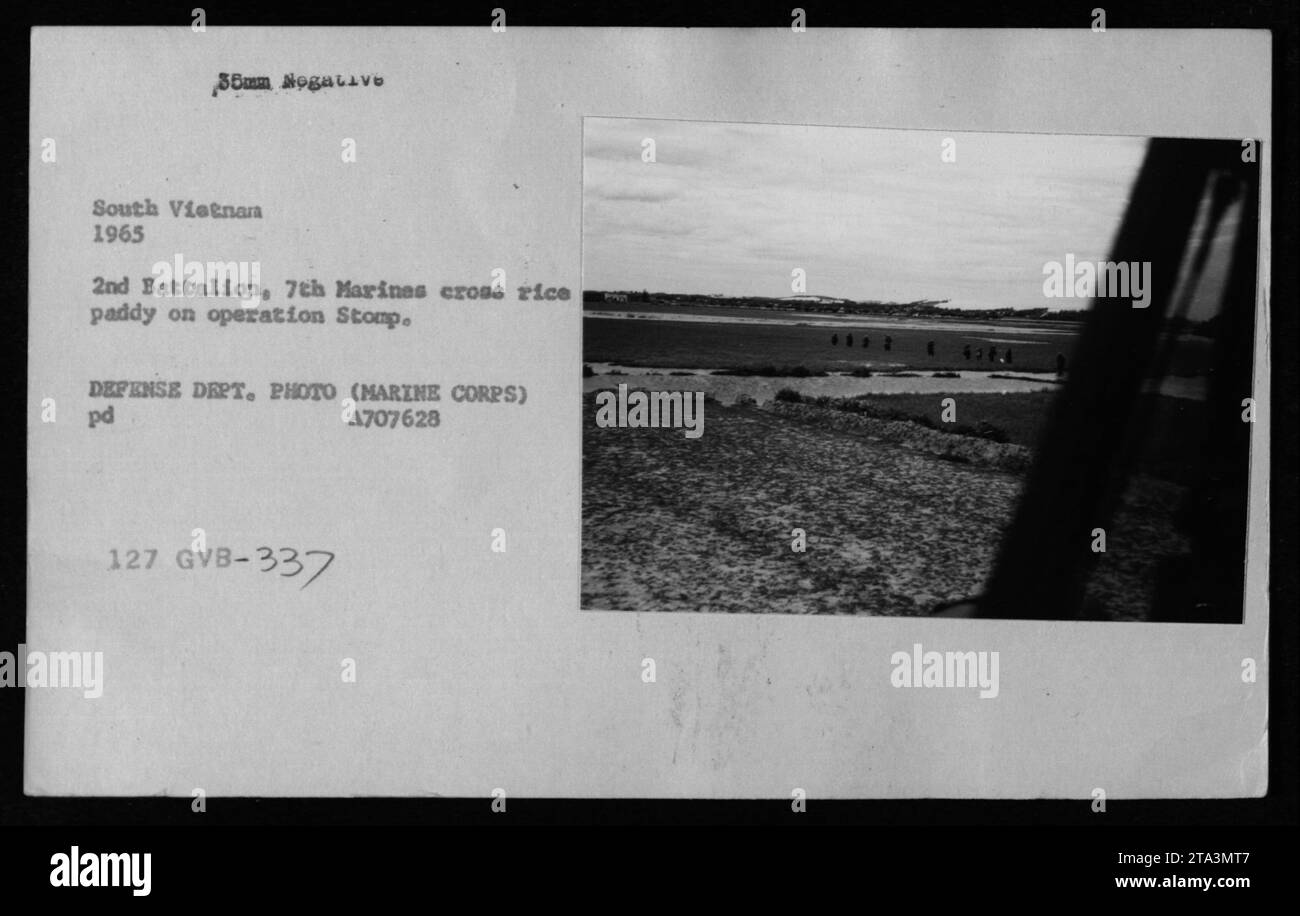 Soldaten des 2. Bataillons, 7. Marines, navigieren 1965 während der Operation Stomp in Südvietnam durch ein Reisfeld. Das Gelände ist schlammig und mit Wasser gefüllt, was die Truppen beim Durchqueren des Gebiets herausfordert. Dieses Foto wurde vom Verteidigungsministerium während des Vietnamkriegs aufgenommen. Stockfoto