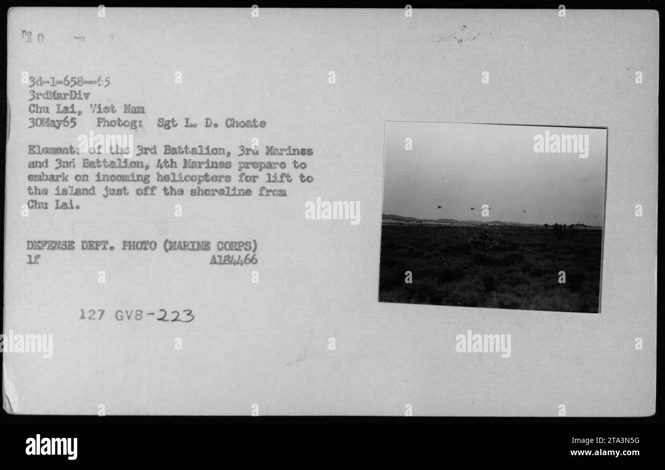 Am 30. Mai 1965 bereiten sich Marines des 3. Bataillons, der 3. Marines und des 3. Bataillons, der 4. Marines, auf Hubschrauber vor, um sie zu einer Insel in der Nähe von Chu Lai in Vietnam zu transportieren. Das Bild wurde von Sgt. L. D. Choate als Teil der amerikanischen Militäraktivitäten während des Vietnamkriegs aufgenommen. Stockfoto