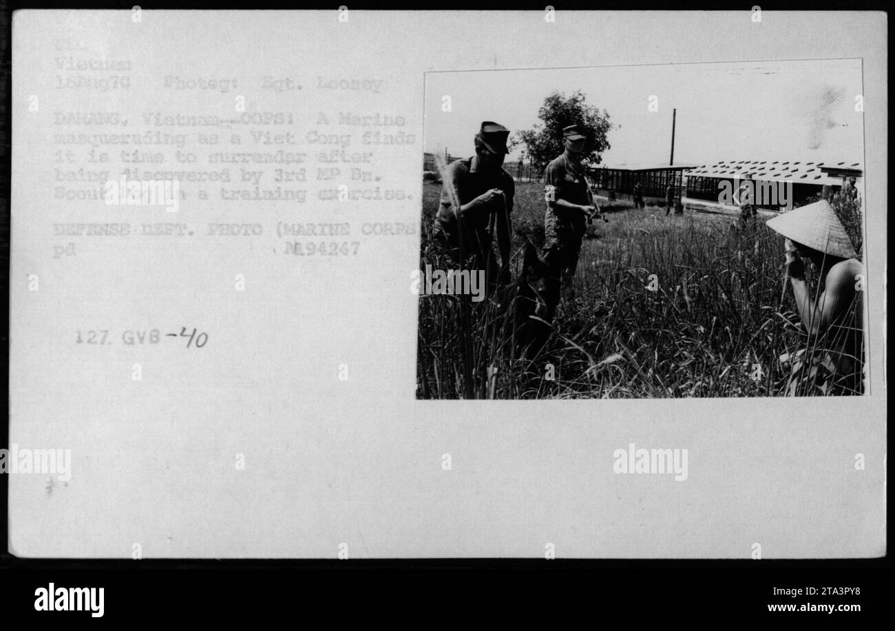 Marine, die sich als Viet Cong ausgeben, ergeben sich während eines Trainings, nachdem sie im August 1974 von einem militärischen Arbeitshund des 3. MP-Bataillons in da Nang, Vietnam, entdeckt wurden. Stockfoto