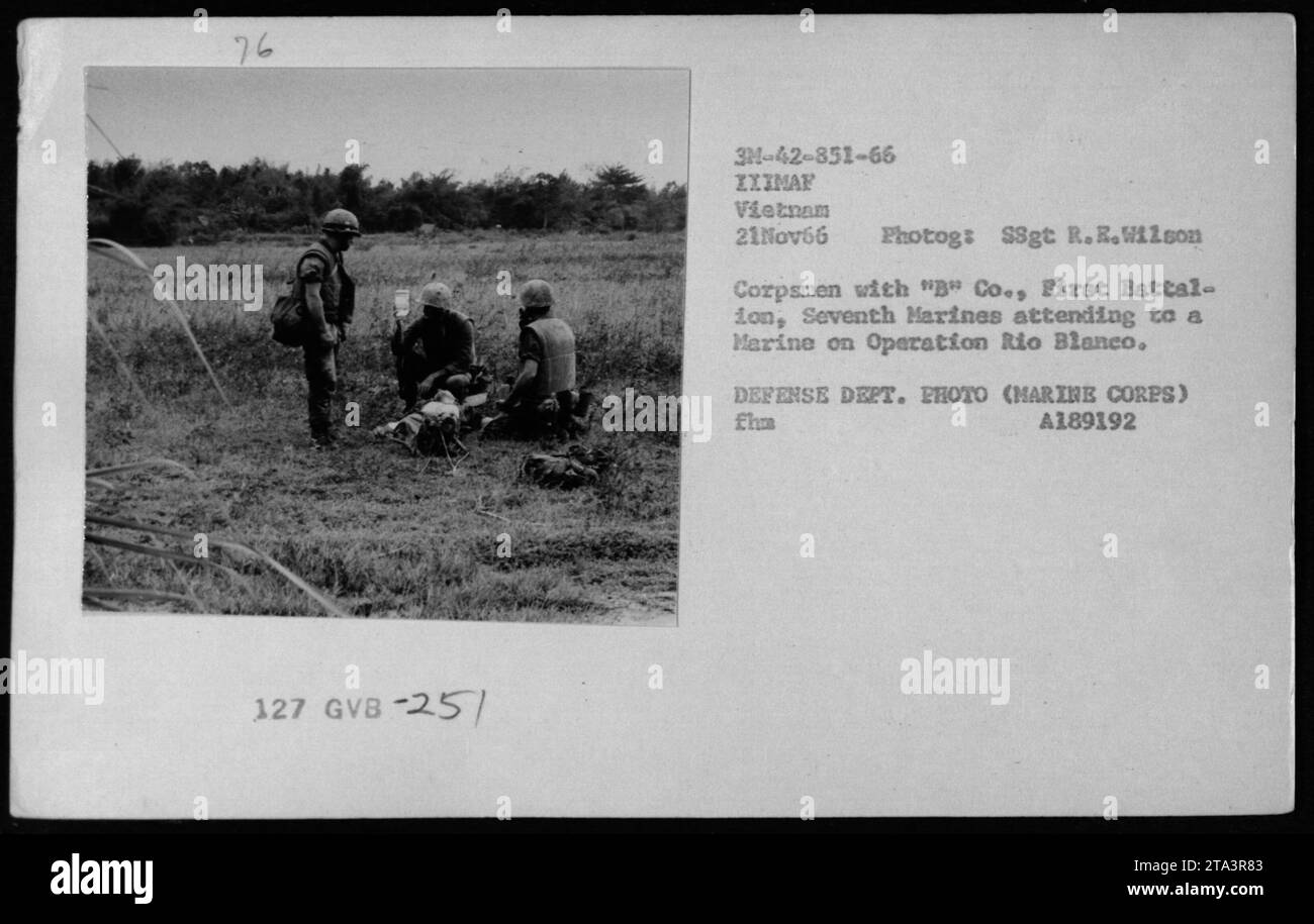 Marinekorps von B Co., 1. Bataillon, 7. Marines versorgen einen verwundeten Marine während der Operation Rio Blanco. Dieses Foto, aufgenommen am 21. November 1966, zeigt den Einsatz des US-Personals für die medizinische Versorgung während des Vietnamkriegs. Stockfoto