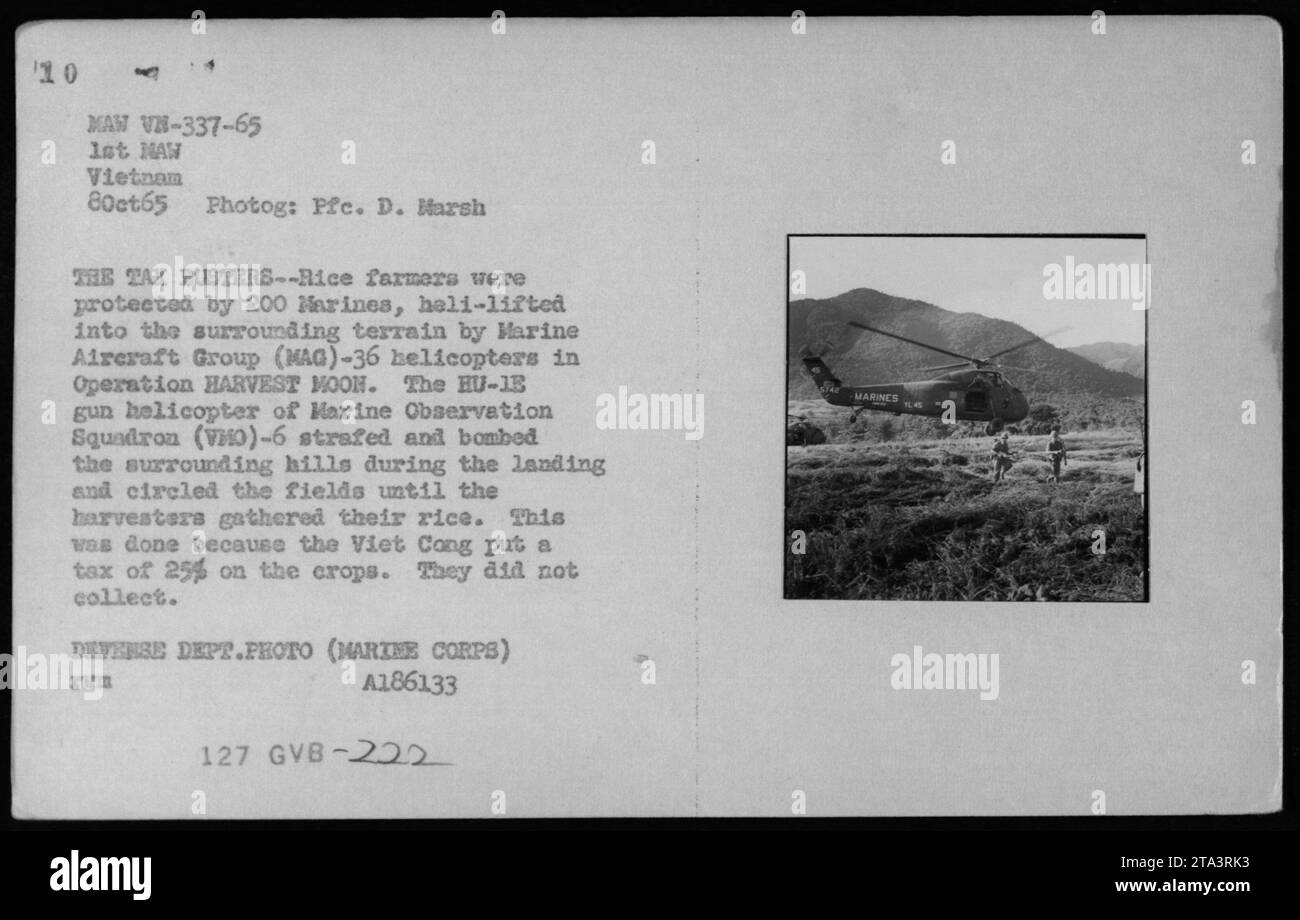 Marines schützen Reisbauern während des Vietnamkrieges bei der Operation HARVEST MOND. 200 Marines werden von UH-34 Hubschraubern der Marine Aircraft Group (mag)-36 aus der Luft befördert. Helikoptergeschütze der Marine Observation Squadron (VO)-6 bieten Luftunterstützung, indem sie die umliegenden Hügel angreifen und bombardieren. Diese Operation ist eine Reaktion auf den Versuch der Viet Cong, die Ernten zu besteuern. Die Steuer wird nicht eingezogen. [Foto: PFC. D. Marsh / Defense Dept Foto / U.S. Marines / 8. Oktober 1965] Stockfoto