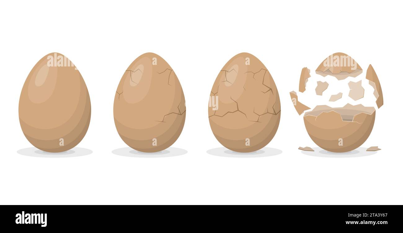 Eibruchsequenz isoliert auf weißem Hintergrund. Hühnereierschalen-Knackstadien. Schlupfstadien der Küken. Zerrissene Eier mit Eierschalen. Stock Vektor