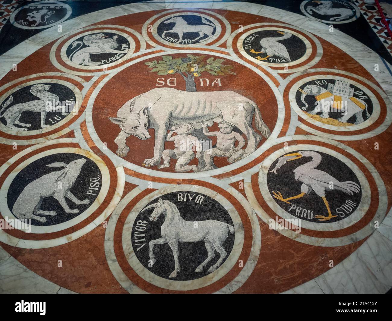 Die sienesische Wölfin unter den Symbolen der alliierten Städte, der Boden der Kathedrale von Siena Stockfoto